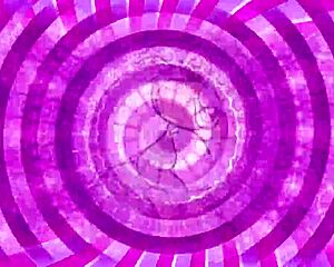 Proving Yourself with Femdom Anal Teasing and Jerk Off Instructions