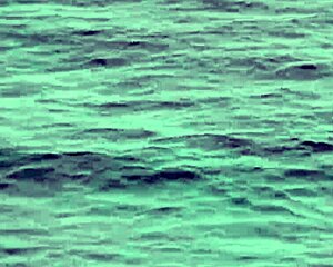 i take lindsey olsen's gaping ass for monster cock outdoor pounding