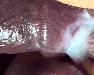 yo estoy aquí con la mejor compilación de creampies y semen en panties para milf madura con culo grande tetas enormes 😍🤤💦