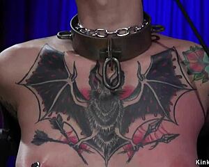 i whip my alt lesbian slave then bang her roughly