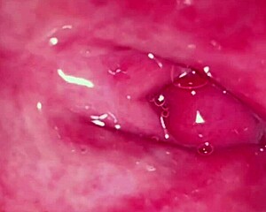 amateur asian milf's shaved pink pussy close-up 237 days post-virginity loss licked