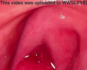 hey world check my virgin girlfriend's shaved pussy close up she licks and fucks proving it's real for new year