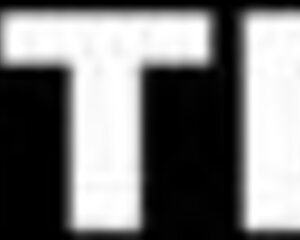 shoplifting teen's big tits seal anal security deal