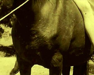 victorian gentleman's secret erotic confessions in retro lantern film