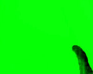 wet first-timer pees during rough monster dap dp with deepthroat balls-deep gapes atm anal