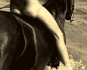 victorian gentleman's secret erotic confessions in retro lantern film