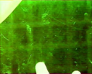 Pornodrome 1 Horizon Series Explores New Adult Adventures