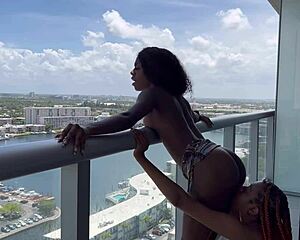 Destiny, Mira and Majesty share a wild adventure together in sunny Miami Florida