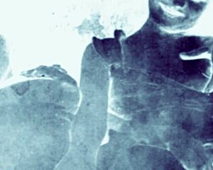 vintage erotic drawings collection