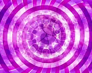 dig this wild sissy training teaser contrast