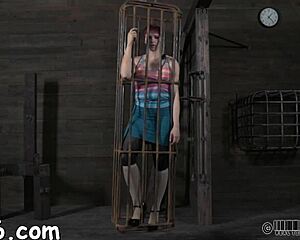 hey these four hotties crammed in that tiny cage look wild