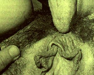 vintage lesbians devour hairy pussies in retro muff diving frenzy!