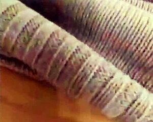 warm cum flooding my tight womb so deep