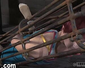 hey these four hotties crammed in that tiny cage look wild