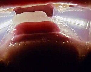 Deranged Rebel Rhyder Swallows FROZEN CUM BUKKAKE In Extreme Blowbang Probe Lens