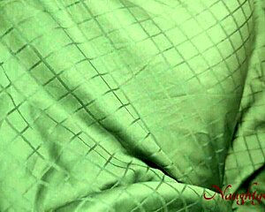 i share bed with hot step-sis every time granny visits damn her curves