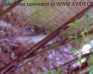 ever caught your stepsis bent over in garden taking doggy pussy pound?