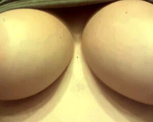 italian milf artemisia love bounces her huge natural nipples in slow motion bedroom solo