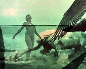 whoa retro hairy beavers bent over doggystyle in vintage animal women flick 😲🐾