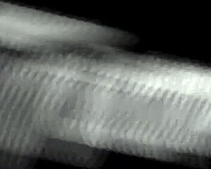 i crave trans hotties fucking me senseless