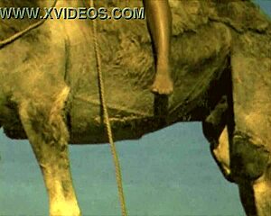 whoa retro hairy beavers bent over doggystyle in vintage animal women flick 😲🐾