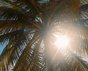 stepmom deliah grace turns me into man with taboo pounding teaser