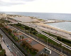 that trans slut bounces her ass on thick cock nonstop