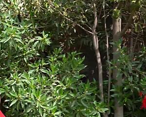 i fuked lost latina chick so hard!!