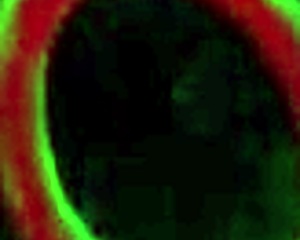 Sara jay and curvy coworker lick pussies at office