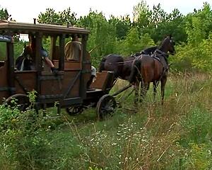 wanna see this skinny teen take anal dp from huge cocks?