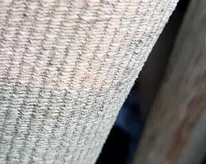 i spy stepsis masturbating hairy pussy in barn 😍 beaver orgasm