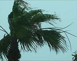 Truth Or Dare With Stepmom Helena Price Leads To Creampie Doggystyle In Bedroom!