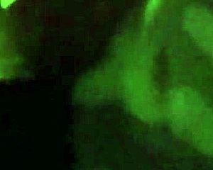 CHEATING WIFE CONFESSES PUBLIC BLOWJOB ON BIG COCK!