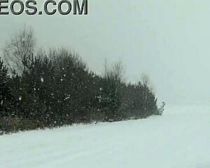 she flashes her shaved pussy in the garden to cool down outdoors