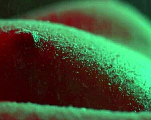 Close-Up Christmas Magic: Snow Falling Gently on Pretty Tits and Small Pussy