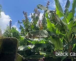 i was so horny i fucked landlords skinny daughter in backyard