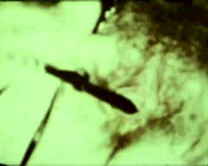 i confess my secret victorian cravings for hairy black pussy fucking.