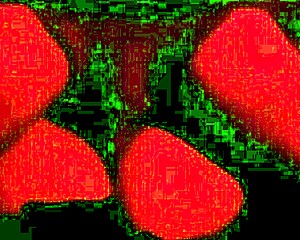 i went wild in orgy with four friends no condom funk beats red lights