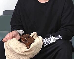 Hot Korean Landlord's Daughter Begs for Doggystyle and Footjob in Steamy Old Young Session!