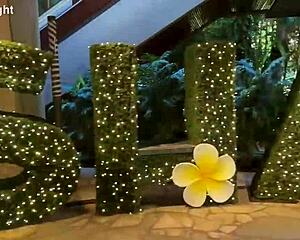kal and i strolled waikiki admiring christmas lights with few callers