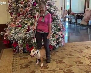 kal and i strolled waikiki admiring christmas lights with few callers