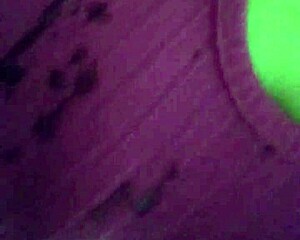 tricking her into deep sucking blowjob
