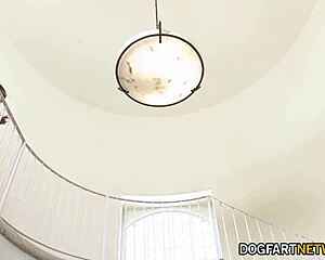 ebony babe cali caliente slurps 12 white cocks bukkake blast