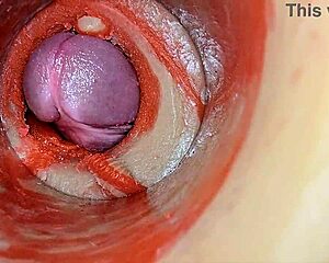 I feel that huge cock creampie my tight swollen pussy deep inside with internal cum view