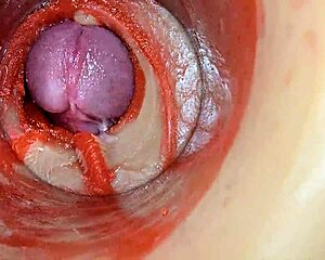I feel that huge cock creampie my tight swollen pussy deep inside with internal cum view