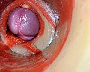 I feel that huge cock creampie my tight swollen pussy deep inside with internal cum view