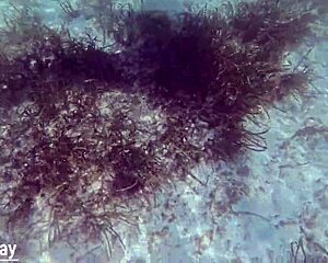 Mature Pussy Filled with Creampie Underwater Cum Blast!