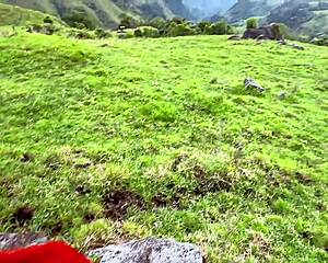 me and my athletic colombian babe fuck rough doggystyle in forest oiled up outdoors