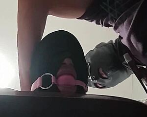 Tied Up Blindfolded Ballgagged Latina Milf Fucked Rough In Mouth Pussy And Ass
