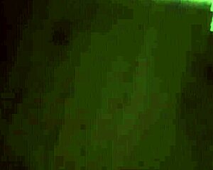 real stepmother fucks her stepson hard